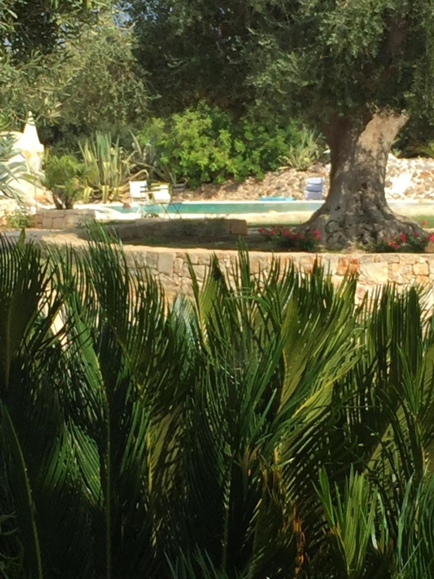I Love Trullo - Country Boutique Apartments - Villa Laura Ostuni Zewnętrze zdjęcie